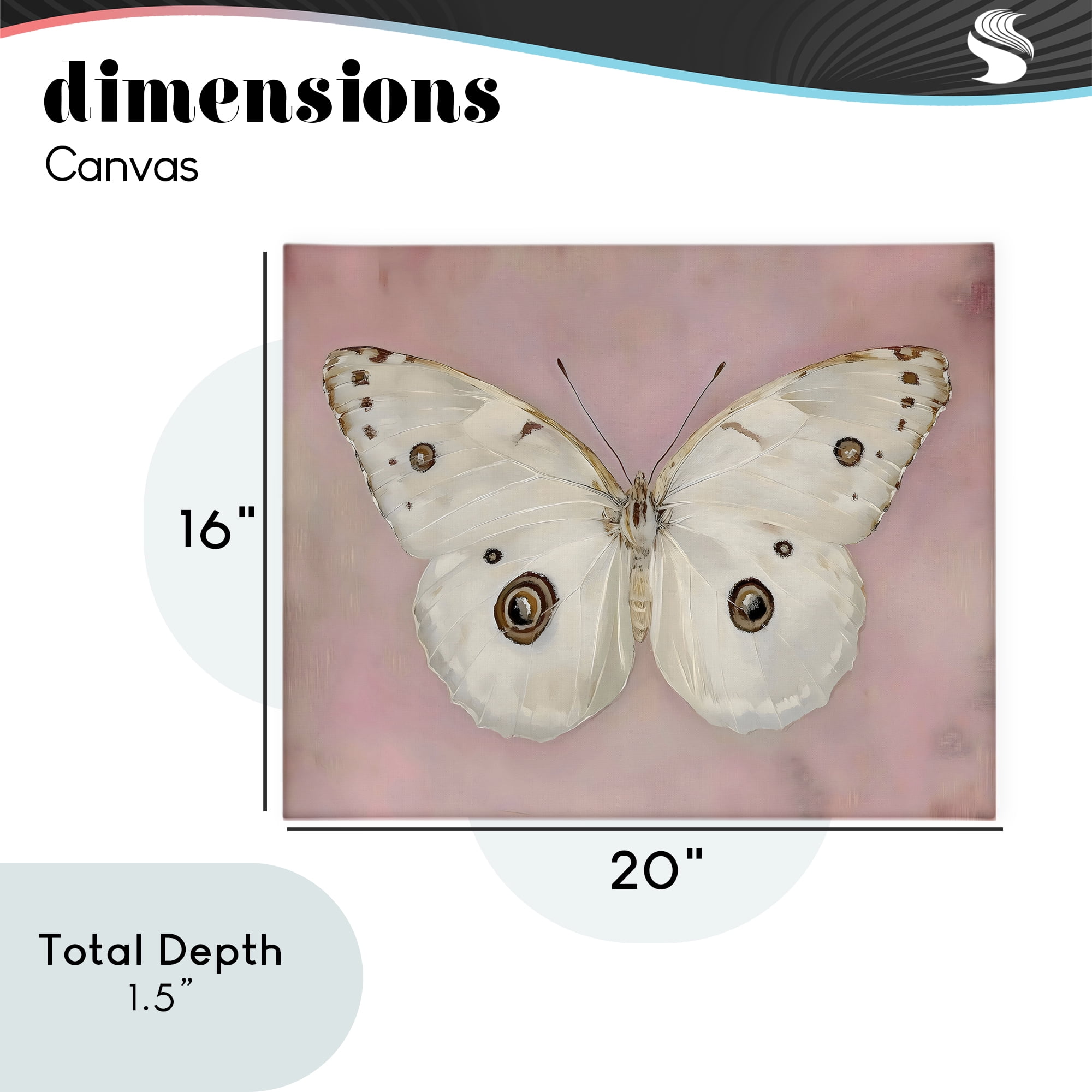 Stupell Industries Gossamer Butterfly on Blush Background Canvas Wall Art, design by Arlington Prints