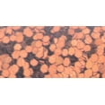 thumbnail image 2 of Advantus SUL5-100 0,6 oz Paillettes de Sulyn, Orange, 2 of 2