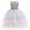 Silver, variant on KONBECA Baby Girls Princess Dress, Little Girls Party Wedding Dresses, Evening Mesh Lace Dress Birthday Dress, Kids Pageant Flower Girl Sleeveless Dress, Birthday Gifts for Girls Gold (5-6 Years)