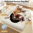 thumbnail image 5 of QuzyAor 78.7" 3-in-1 Convertible Sofa Bed, Teddy Fabric Foldable Sleeper, Modern Loveseat Lazy Sofa, No Assembly Required for Living Room Apartment, White, 5 of 11