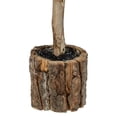 thumbnail image 3 of Northlight 14.75" Flocked Downswept Artificial Mini Pine Christmas Tree with Bark Base- Unlit, 3 of 3