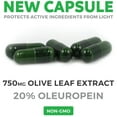 Healths Harmony Olive Leaf Extract Supplement (NONGMO) 20 Oleuropein