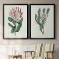 thumbnail image 2 of 2 Piece Set Protea N13 Premium Framed Canvas - Ready to Hang - 26.5 x 36.5 Each - Silver Frame, 2 of 8