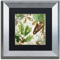 Trademark Fine Art "Snow Cones II" Canvas Art by Color Bakery Black Matte, Silver Frame