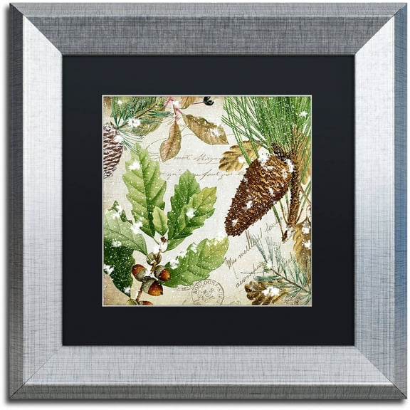 Trademark Fine Art "Snow Cones II" Canvas Art by Color Bakery Black Matte, Silver Frame