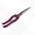 thumbnail image 1 of Garden Shears for Trimming Hedges and Topiaries Perfect for Gardening Tasks, 1 of 5