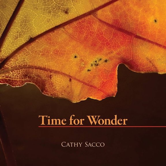 Time for Wonder, (Paperback)