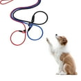 thumbnail image 2 of Strong Slip Lead Dog Leash - Adjustable Loop, High-Density Nylon, Training Leash for All Dog Sizes, 2 of 8