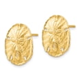 thumbnail image 2 of Real 14kt Yellow Gold Large Sanddollar Post Earrings; for Adults and Teens; for Women and Men, 2 of 3