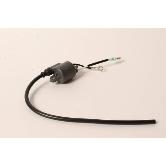 Echo 15662602111 Ignition Coil Genuine Original Equipment Manufacturer (OEM) Part