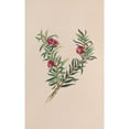 thumbnail image 2 of John Stevens Henslow 11x14 Black Ornate Wood Framed Double Matted Museum Art Print Titled: Moss (1840), 2 of 5