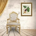 thumbnail image 3 of Dellal, Remy 12x14 Gold Ornate Wood Framed with Double Matting Museum Art Print Titled - Fruits de saison, Figues, 3 of 4