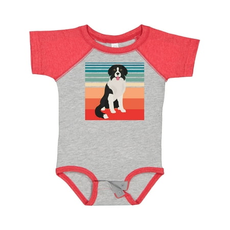 

Inktastic Borador Dog Border Collie Labrador Mix Gift Baby Boy or Baby Girl Bodysuit