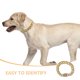 thumbnail image 2 of Cadena de perros Caqueta de colección Collar Collar Cabila para collar para perros Metal Cadena de gato, 2 of 6