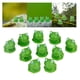 thumbnail image 1 of 2x 10Pcs Dollhouse Bonsai Artesanía Jardín Eye Frog, 1 of 8