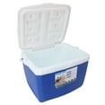 thumbnail image 1 of Enfriador Portátil aislado, Caja refrigerador para exteriores a Prueba de Fugas de 13 Litros, refrigerador aislado portátil para picnics, parrilla, campa, campaña, 1 of 7