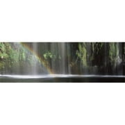 Panoramic Images  Rainbow formed in front of waterfall in a forest  near Dunsmuir  California  USA Poster Print by Panoramic Images - 36 x 12