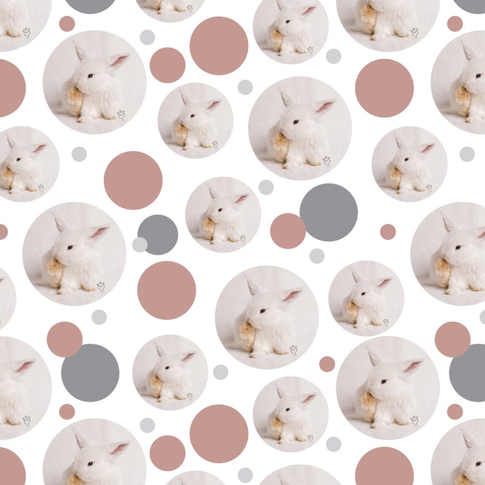 Lop Ears Miniature Bunny Rabbit Premium Gift Wrap Wrapping Paper Roll