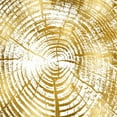 thumbnail image 2 of Carson, Danielle 26x26 White Modern Wood Framed Museum Art Print Titled - Chipped Gold I, 2 of 4