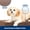 Espresso, variant on Orthopedic Dog Bed with Memory Foam, Premium Comfort for Joint Relief and Restful Sleep, Durable and Easy to Clean - Navy, Medium