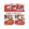 thumbnail image 4 of CB Japan Coussin Ours Polaire Bagel Humide Animal tutum, 4 of 5