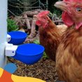 thumbnail image 1 of 8 PCS Taza Automática De Agua Para Pollo Behinfer De Aves De Corral De Pollo Grande Con Diseño De PVC Engrosado Para Pollos Pájaros Pequeños, 1 of 7
