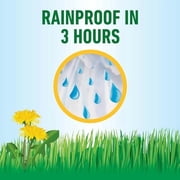 Roundup for Lawns Ready-to-Use with Trigger Sprayer, Tough Weed Killer for Use on Northern Grasses, 1 gal.