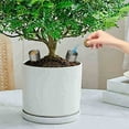 thumbnail image 4 of Oliegs Stainless Steel Bonsai Portable Gardening Fertilization For Succulents Small Easy To Use Nutrient Release Containers, 4 of 6