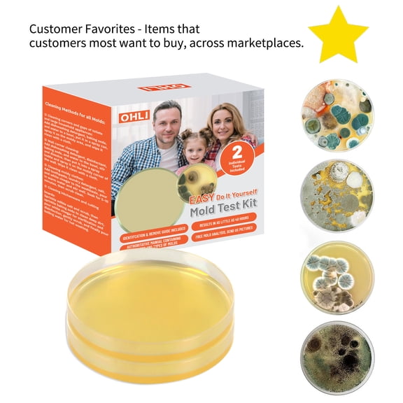 Mold Test Kit for Home Within 2 Individual Tests,Test HVAC,Home Surfaces,Indoor Air Quality Testing Kits,Skin Test,DIY Black Mold Detector Testing kit,Mold Identification Guide-Free Lab Analysis