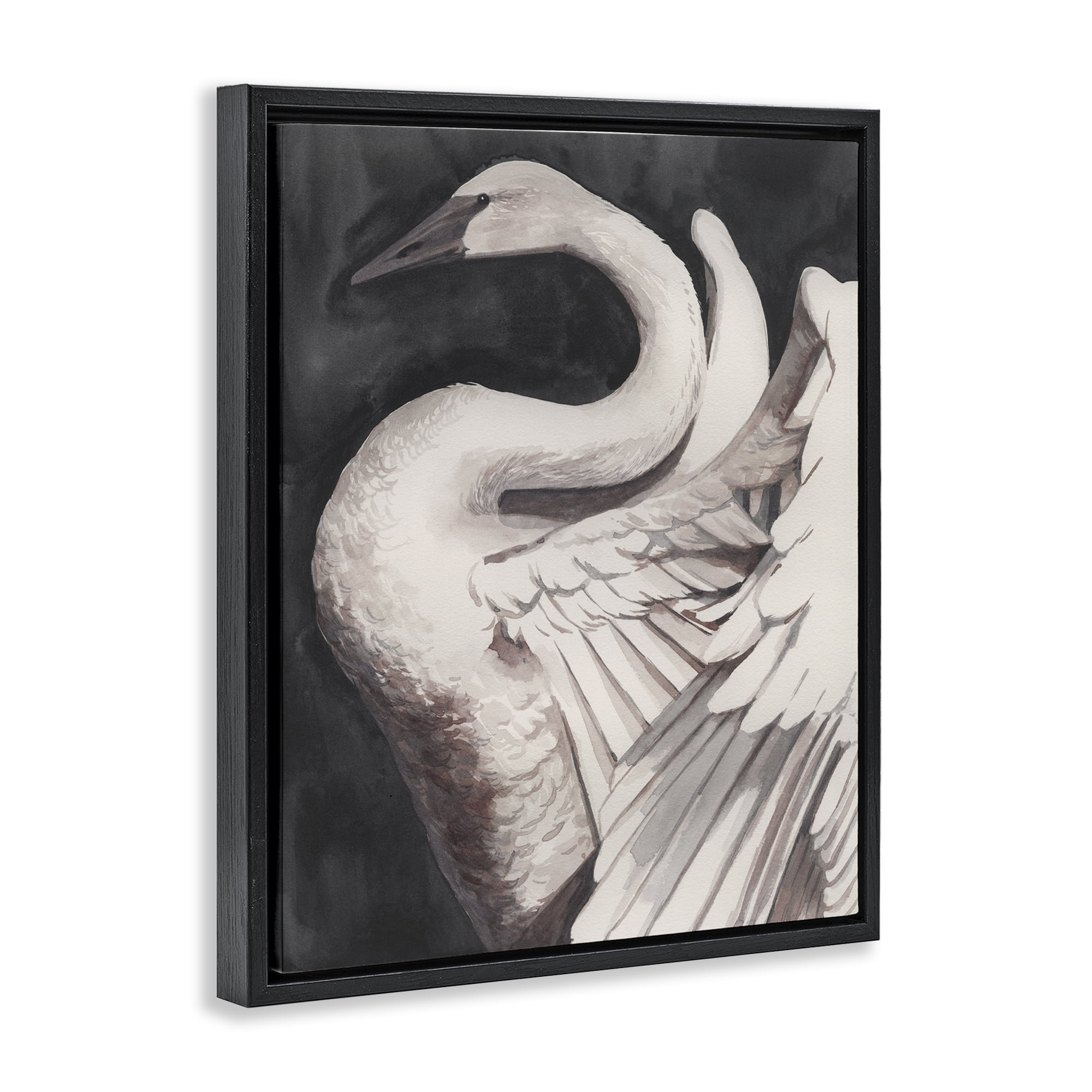 Stupell Industries Swan Spreading Wings Animals Painting Black Floater Framed Canvas Art Print Wall Art, 25 x 31