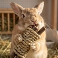 thumbnail image 5 of Guinea Pig Accessories, Rabbit Enrichment toys, Chinchilla toys, Loofah Chews, Carrot Corn Shapes, Apple Sticks, Small Animal Chewing, Random tones, 9 Set, 5 of 5