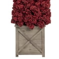 thumbnail image 5 of 50" Red Berry Cone Potted Christmas Topiary, 5 of 6