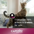 thumbnail image 5 of Capstar Fast-Acting Oral Flea Treatment for Cats – 6 Doses, 5 of 9