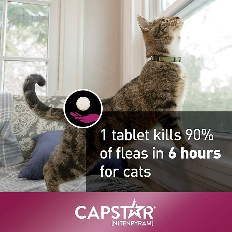 Image 5 of CAPSTAR (nitenpyram) Fast-Acting Oral Flea Treatment for Cats (2-25 lbs), 6 Tablets, 11.4 mg