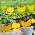 thumbnail image 3 of Dadypet Sticky Paper,Indoor Dazzduo Sticky Indoor Paper Fruit Sticky Dual-sided Sticky Paper Paper Fly Paper 50Pcs Nebublu, 3 of 6
