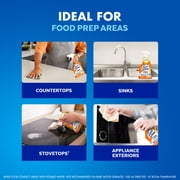 (2 pack) LYSOL® Kitchen Pro Antibacterial Cleaner - Trigger 9/22 fl oz.