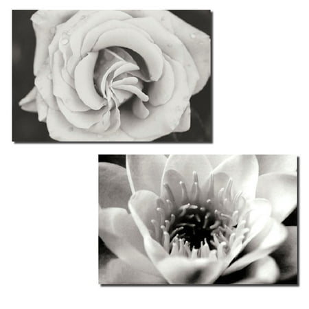 - Gorgeous Classic Black and White Rose and Lotus; Two 10X8 Poster Prints