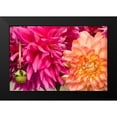 thumbnail image 2 of Love, Maureen 24x17 Black Modern Framed Museum Art Print Titled - Fuschia Dalhia III, 2 of 5