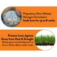 thumbnail image 5 of GreenView Broadleaf Weed Control + Lawn Food - 13 lb. - Covers 5,000 Sq. ft., 5 of 10