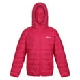 thumbnail image 1 of Regatta Boys/Girls Hillpack Hooded Jacket, 1 of 7