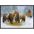 thumbnail image 1 of Carolines Treasures ASA2206MAT Shetland Ponies Indoor or Outdoor Mat- 18 x 27, 1 of 4