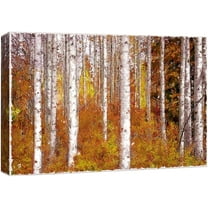 wall26 Canvas Print Wall Art Paint Stroke Birch Trees with Brown Leaves Nature Wilderness Illustrations Modern Art Rustic Scenic Colorful Multicolor for Living Room, Bedroom, Office - 12"x18&quo