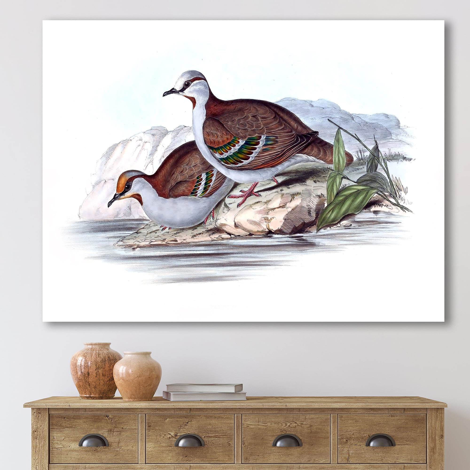 Ancient Australian Birds IX 12 in x 8 in Painting Canvas Art Print, by Designart