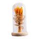 thumbnail image 4 of Regalos de flores para iluminar flores en cúpula de cristal, regalos del Día de San Valentín, lámpara LED de mesa para cafetería, fiesta, aniversario madera Yinane lámpara de noche, 4 of 8