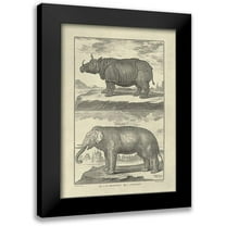 Diderot, Denis 18x24 Black Modern Framed Museum Art Print Titled - Elephant and Rhino