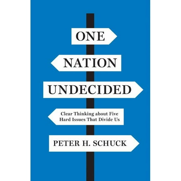 One Nation Undecided: Clear Thinking about Five Hard Issues That Divide Us, (Hardcover)