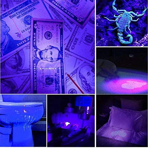 Headlamp UV Light, UV LED Black Light Headlamp 395nm Ultra Violet Purple Light Headlight Rechargeable & Zoomable for Auto Oil HVAC Leaks, Detects Rock Hounds, Scorpions, Pet Urine Stains