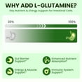 thumbnail image 5 of Lukaree Premium Liquid Gut Cleanse & Detox Drops - with Black Walnut, Wormwood, Soursop & L-Glutamine - Supports Digestive Health, Microbiome Balance & Gut Lining - 4 fl oz(60 Servings), 5 of 9