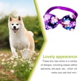 thumbnail image 4 of Pajarita cuello corbata mascotas sweethay accesorios decoraciones hebilla flor Purpura 20Conjunto, 4 of 6