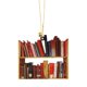 thumbnail image 1 of TQEHS Colgante para amantes de los libros, divertido libro de lectura, adornos de acrílico para Navidad, tienda F3F4, 1 of 6